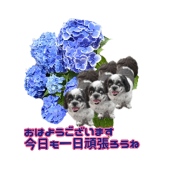 [LINEスタンプ] 美♡紫陽花とオレ♡美