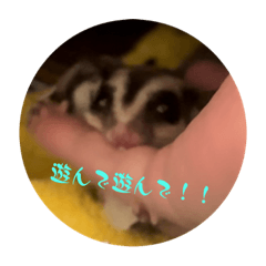 [LINEスタンプ] ロロちゃんスタンプ2