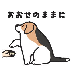 [LINEスタンプ] こまり顔のビーグルさん