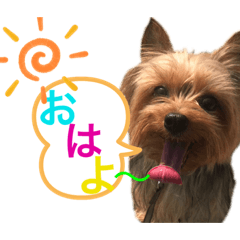 [LINEスタンプ] 名前はレオ♪♪