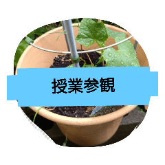 [LINEスタンプ] 月山線スタンプ日薬菜naハハノヒ胡瓜ぱあ