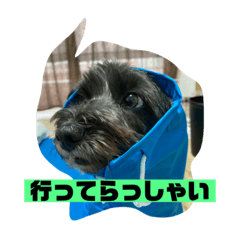 [LINEスタンプ] アンちゃんファミリー・お仕事編
