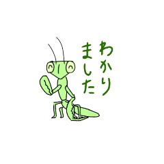 [LINEスタンプ] カマキリ かまきり 蟷螂 Mantis