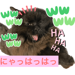 [LINEスタンプ] 黒猫 ルナ院長78にゃんめ