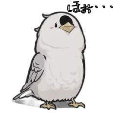 [LINEスタンプ] AI インコ