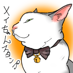 [LINEスタンプ] 家猫メイちゃん日常スタンプ