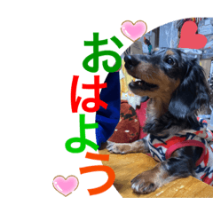 [LINEスタンプ] モモとナナの楽しく挨拶です。の画像（メイン）