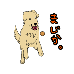 [LINEスタンプ] ゴールデンレトリーバーのととまめ