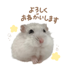 [LINEスタンプ] おもちの日常すたんぷ 敬語ver.