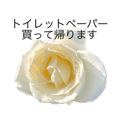 [LINEスタンプ] dodoスタンプ265 花