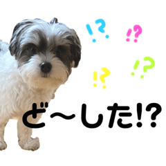 [LINEスタンプ] バビさん