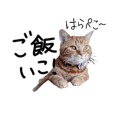 [LINEスタンプ] YouTuberチョコ