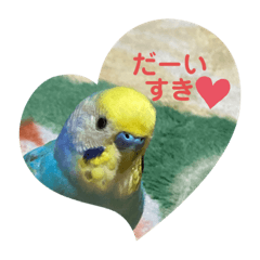 [LINEスタンプ] ルキちゃん セキセイインコ1の画像（メイン）