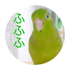 [LINEスタンプ] マメルリハ達7