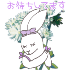 [LINEスタンプ] 理想と現実ウサチャン