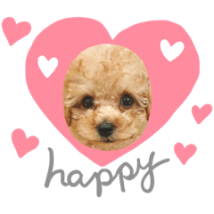 [LINEスタンプ] 高橋さん家のリリィちゃん