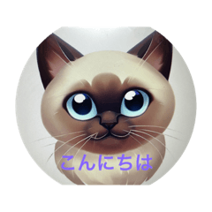 [LINEスタンプ] 猫ちゃんの応援