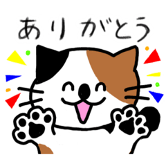 [LINEスタンプ] 猫のコバヤシのスタンプ