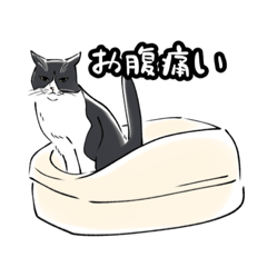 [LINEスタンプ] ハチワレねこ（第1.5弾）