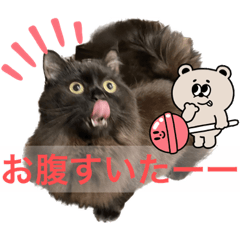 [LINEスタンプ] 黒猫 ルナ院長82にゃんめ