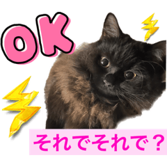 [LINEスタンプ] 黒猫 ルナ院長83にゃんめ