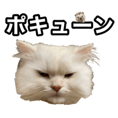 [LINEスタンプ] ここなっつ①