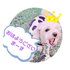 [LINEスタンプ] よつばの日常3