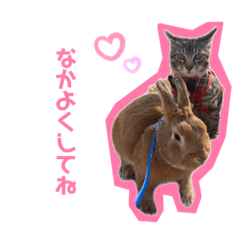 [LINEスタンプ] こぽと
