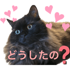 [LINEスタンプ] 黒猫 ルナ院長84にゃんめの画像（メイン）