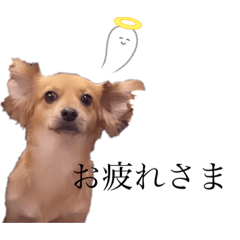 [LINEスタンプ] ちくわのスタンプ日常編