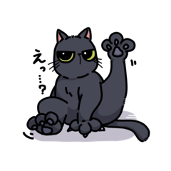 [LINEスタンプ] 2匹の猫 日常会話（敬語ver.）