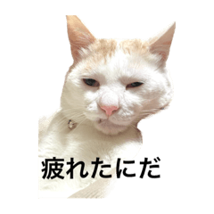 [LINEスタンプ] ちんちくちくわ