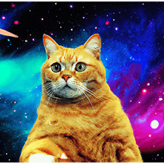 [LINEスタンプ] 宇宙の中の猫の画像（メイン）