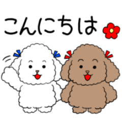 [LINEスタンプ] フワかわトイプードル[日常1]