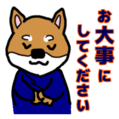 [LINEスタンプ] マッサージする柴犬