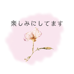 [LINEスタンプ] 大人可愛い‪♡ドライフラワー