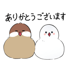 [LINEスタンプ] うちの文鳥スタンプ3