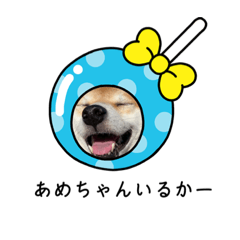 [LINEスタンプ] こじこてことデコフレームver