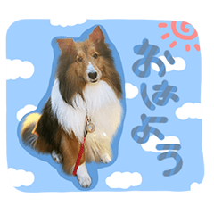 [LINEスタンプ] ディーくん