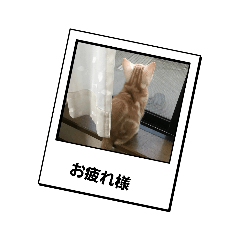 [LINEスタンプ] 挨拶基本的