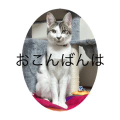 [LINEスタンプ] むうちゃんだぞぉ