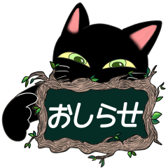 [LINEスタンプ] 【お知らせ猫】