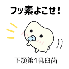 [LINEスタンプ] ほんわか歯の家族（歯のなかま編）