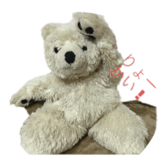[LINEスタンプ] しろくま＆野うさぎ