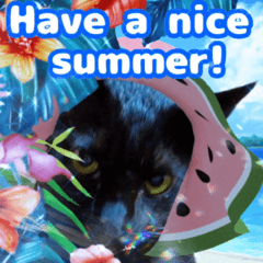 [LINEスタンプ] 動く黒猫ハルとロビン夏用