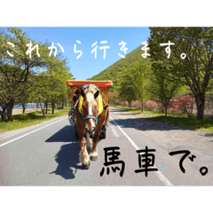 [LINEスタンプ] 榛名湖遊覧馬車かんたろうくん2