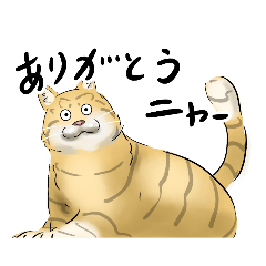 [LINEスタンプ] とぼけ顔ネコスタンプ2