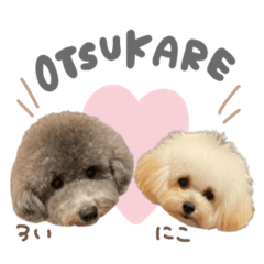 [LINEスタンプ] ロイくん♡ニコちゃんBIGFace