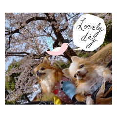 [LINEスタンプ] 武居family41