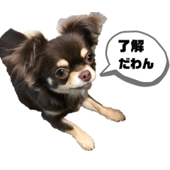 [LINEスタンプ] はなにゃん1